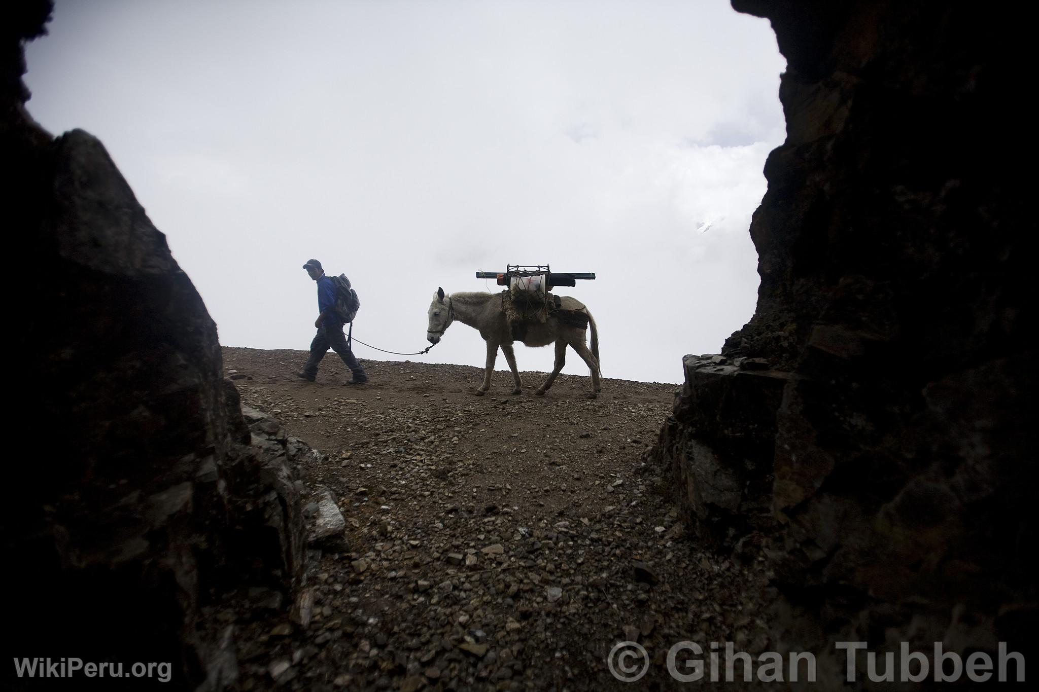 Trekking  Choquequirao