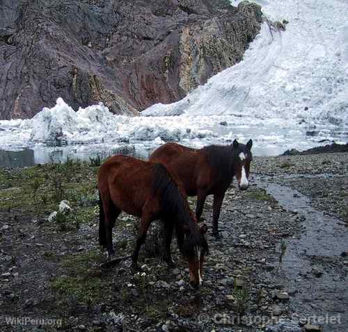 Cordillre Blanche