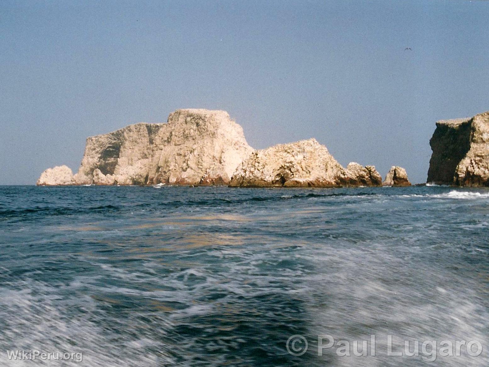 Iles Ballestas, Paracas