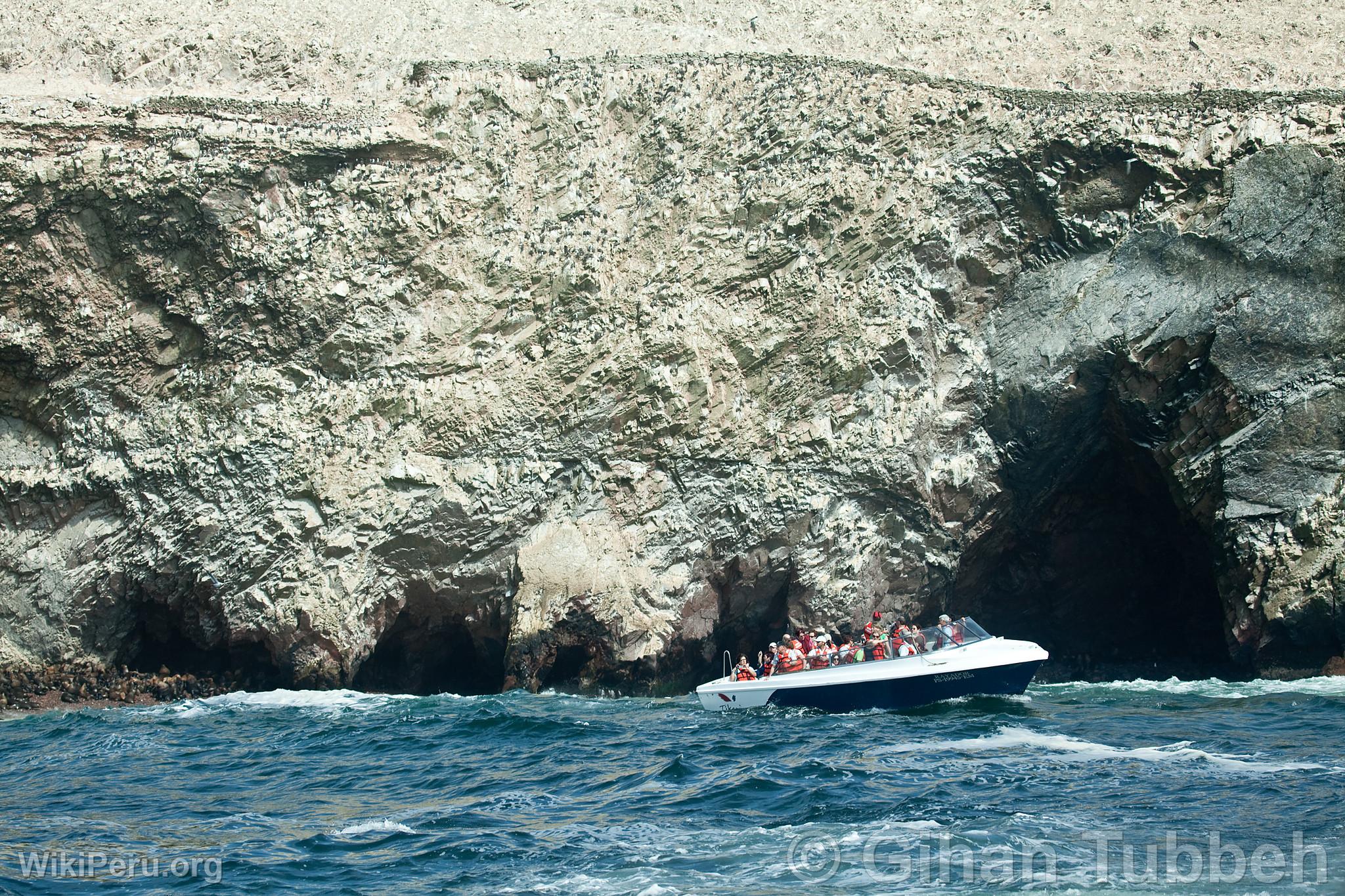 Touristes en excursion aux les Ballestas