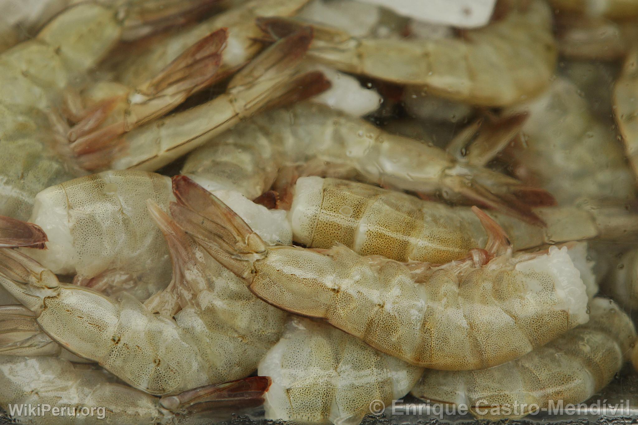 Langoustine