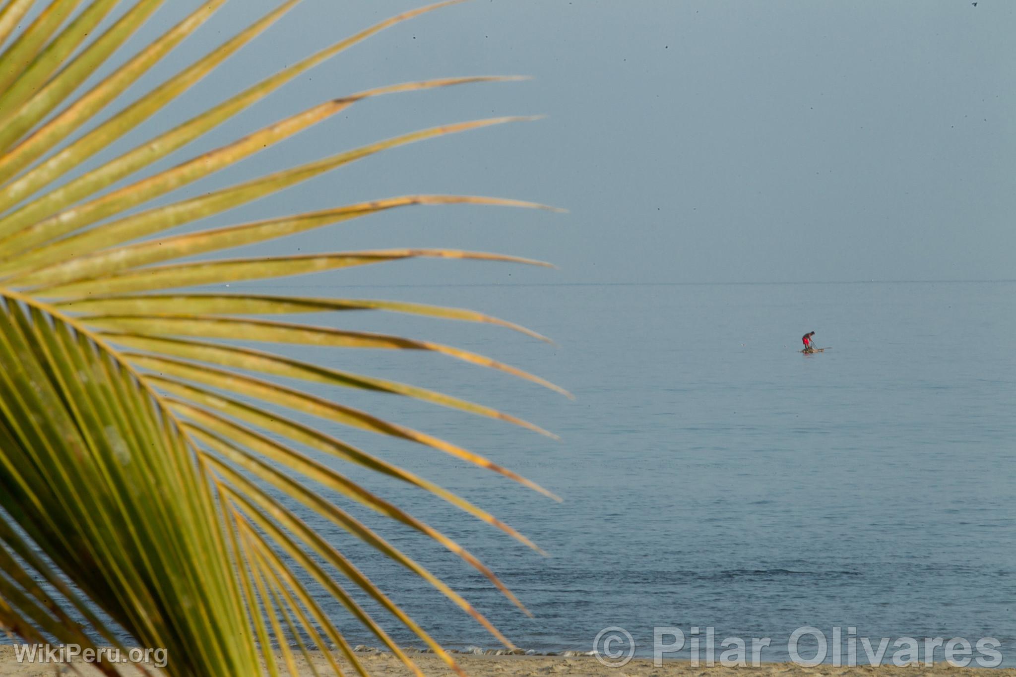 Plage Cabo Blanco