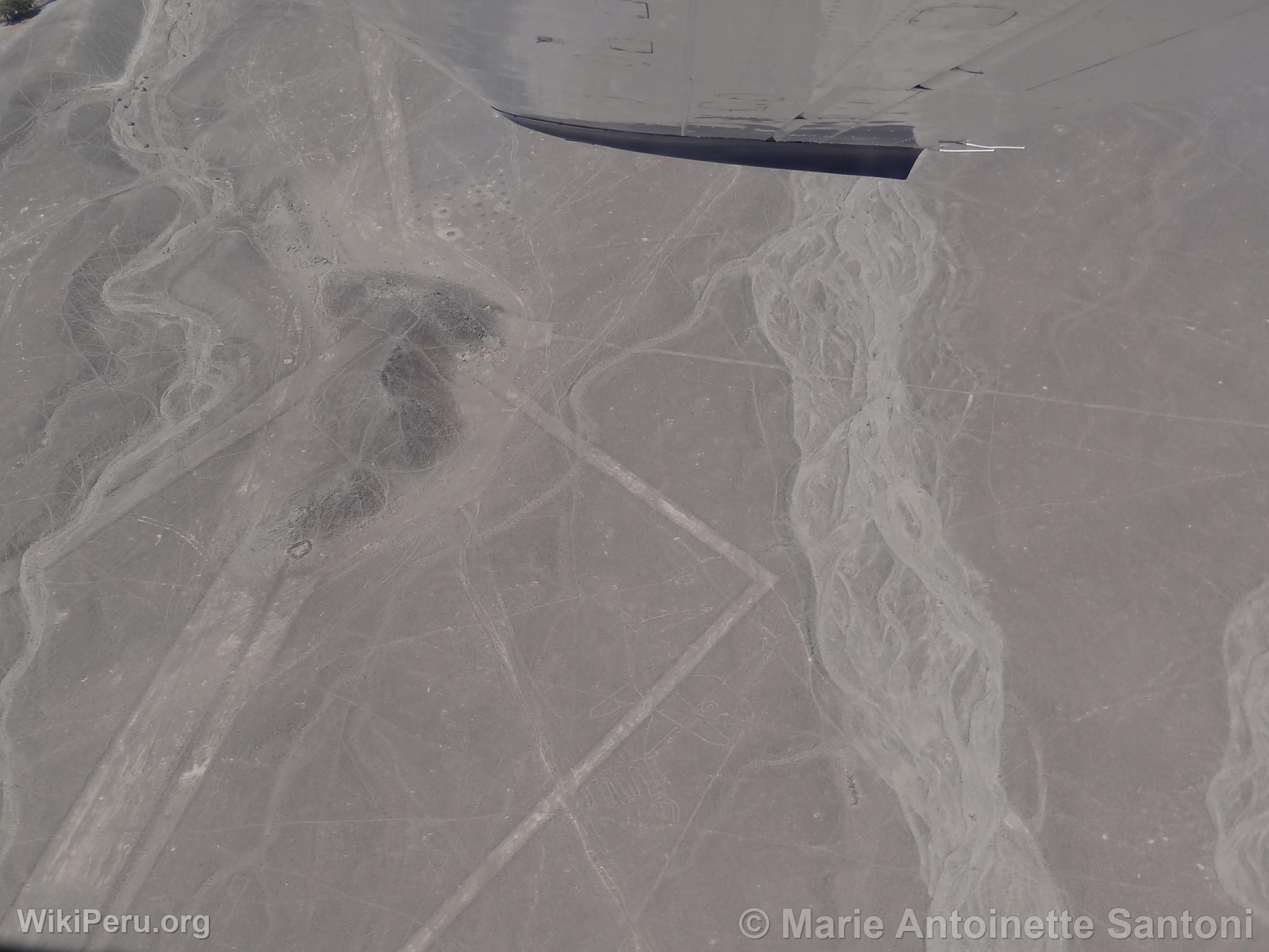 Lignes de Nazca