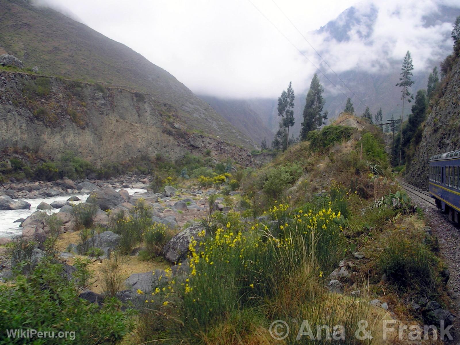 Fleuve Urubamba