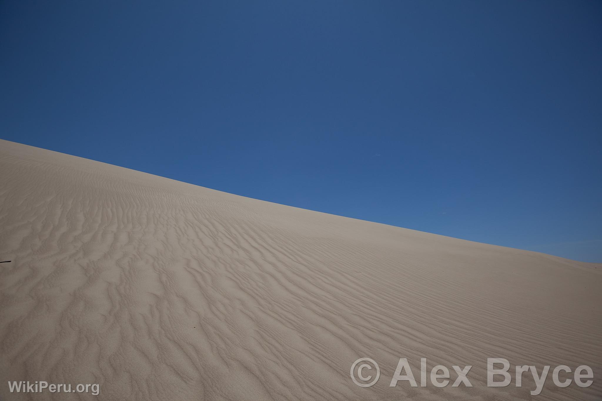 Dunes et dsert dans la Rserve Nationale de Paracas