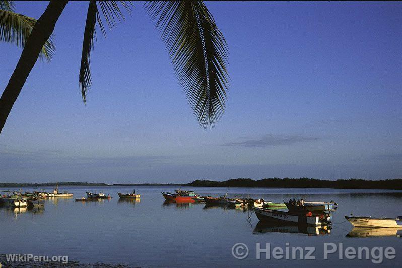 Caleta de Puerto Pizarro