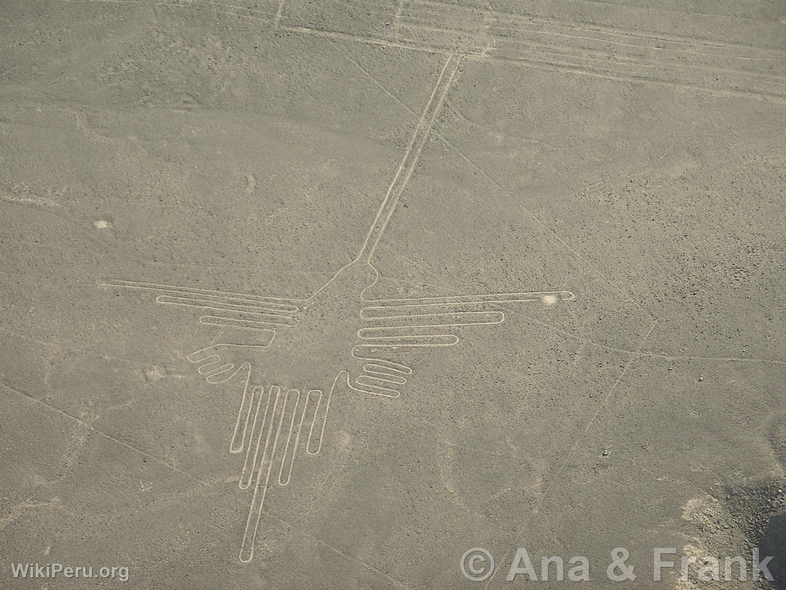 Nazca