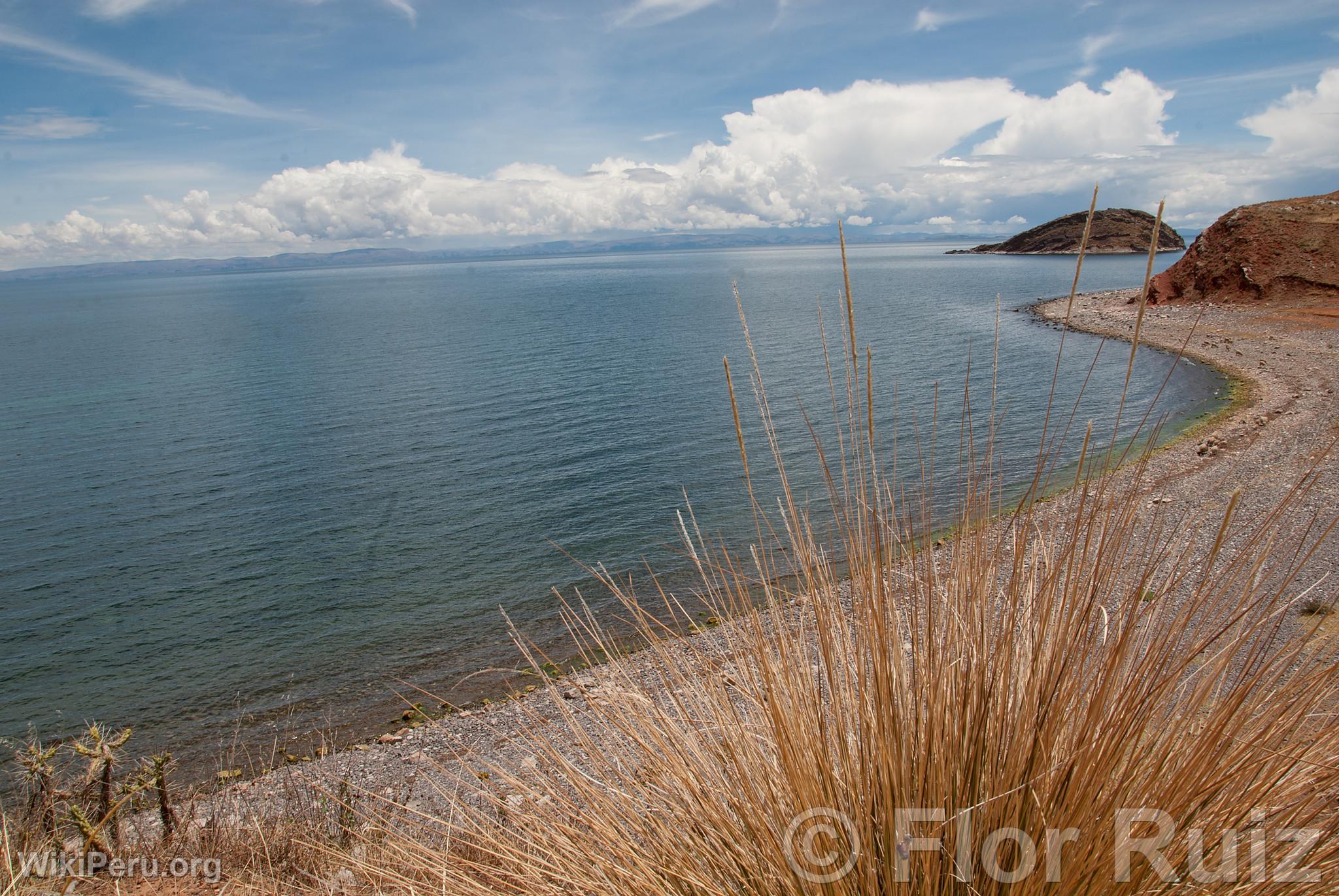 le Tikonata sur le lac Titicaca