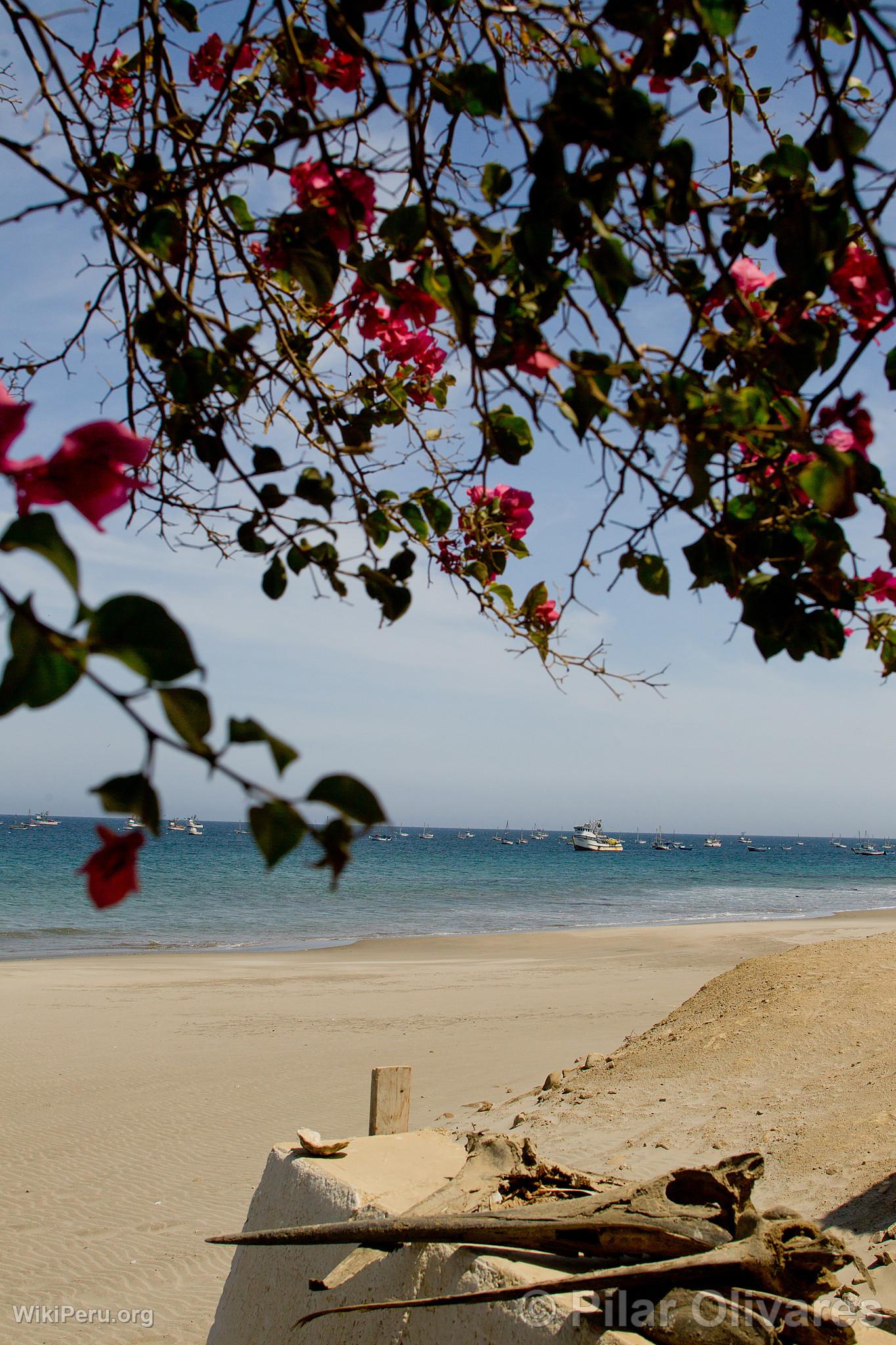 Plage Cabo Blanco