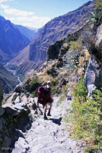 Randonne dans le Canyon, Colca