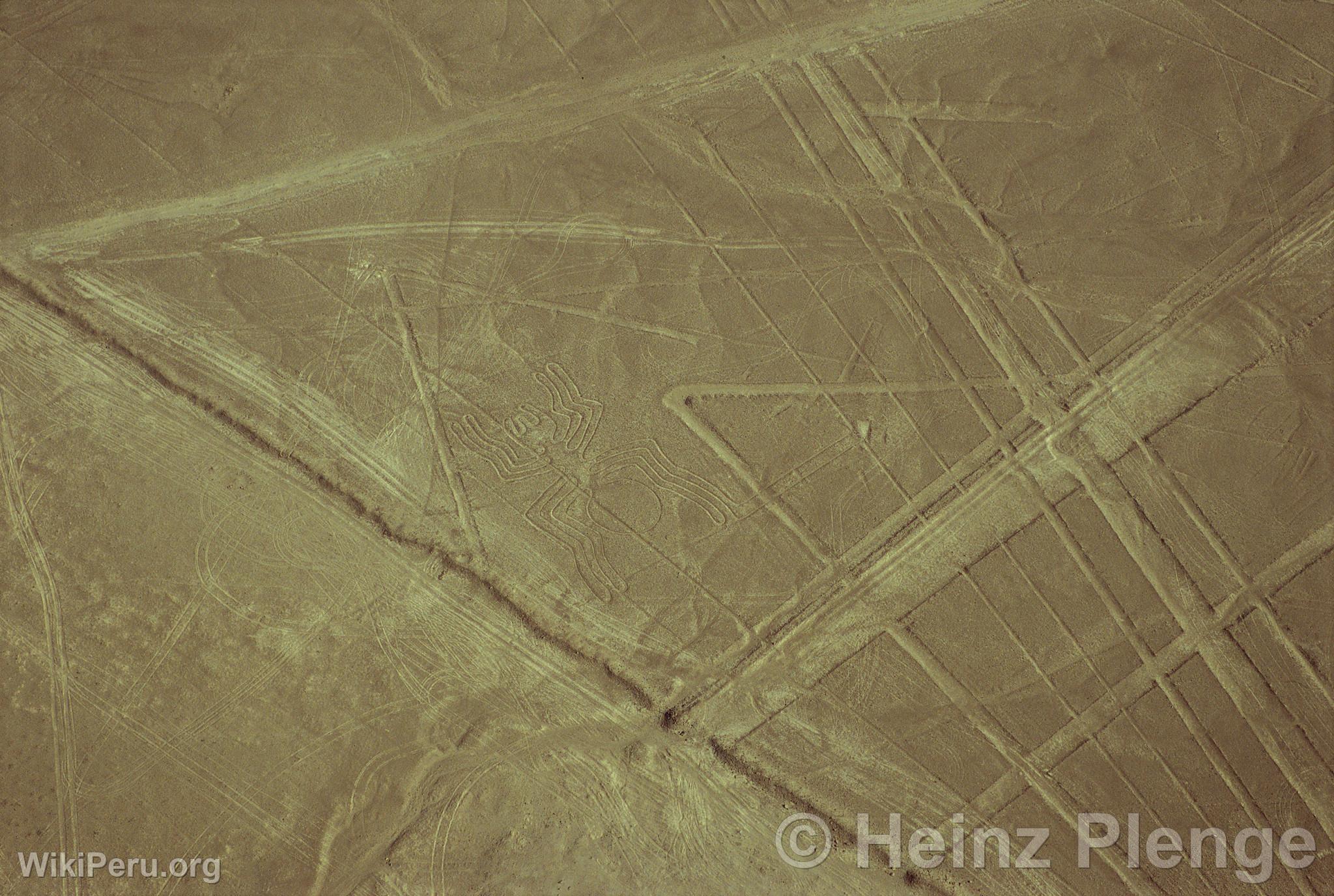 Lignes de Nazca