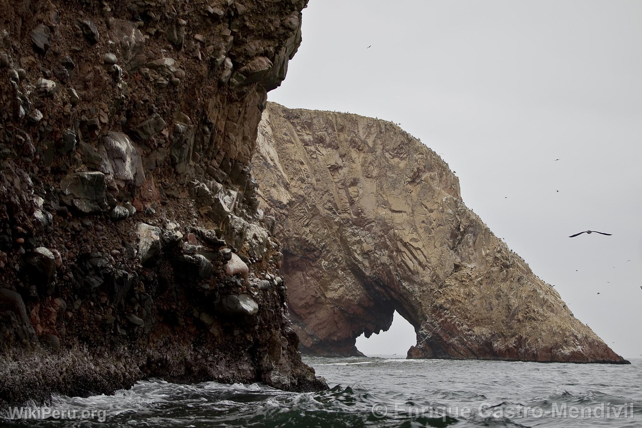 Rserve Nationale de Paracas