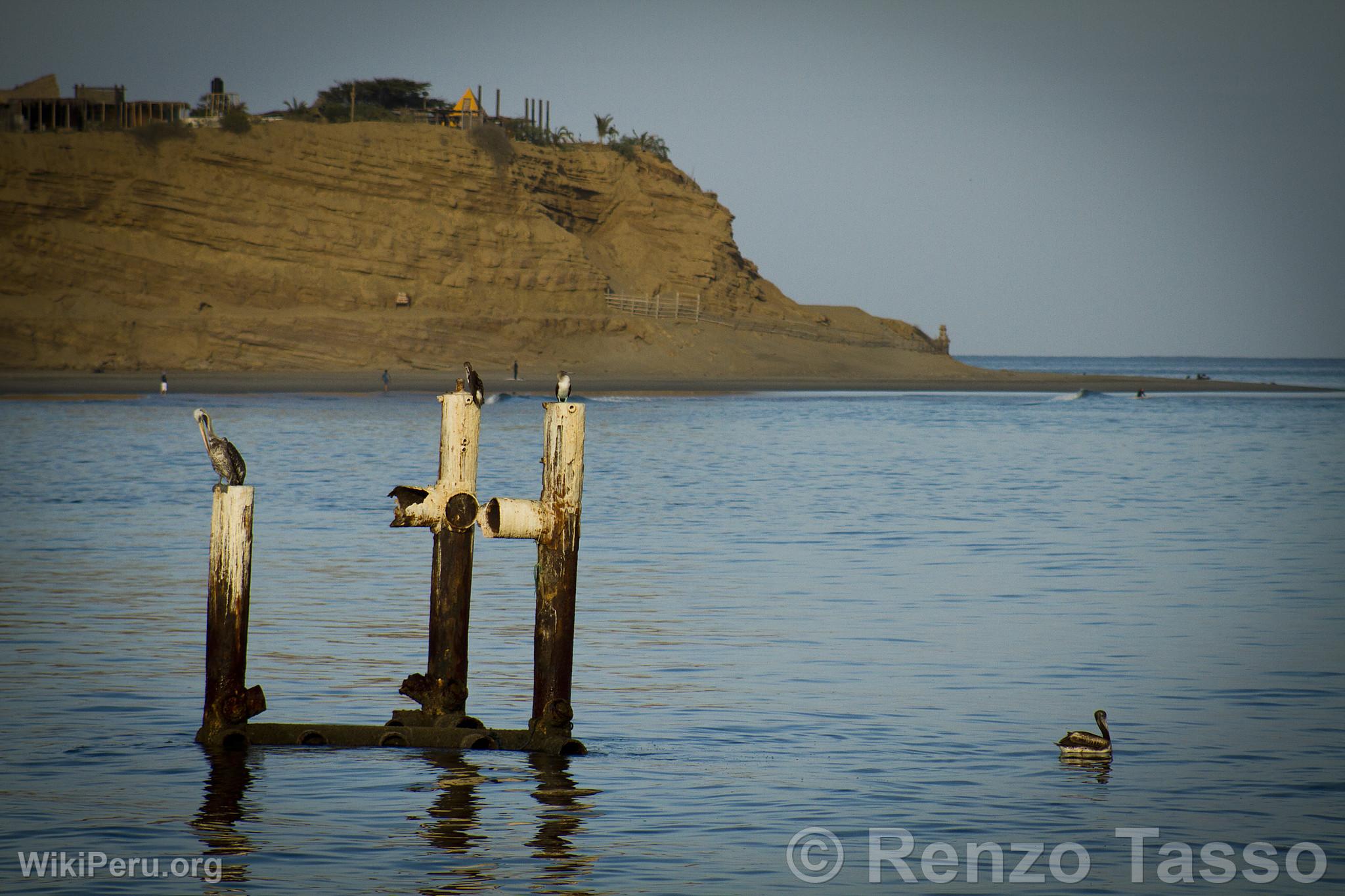 Plage Los rganos