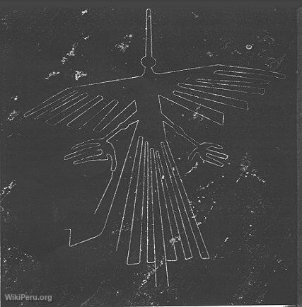 L'Oiseau, Nazca