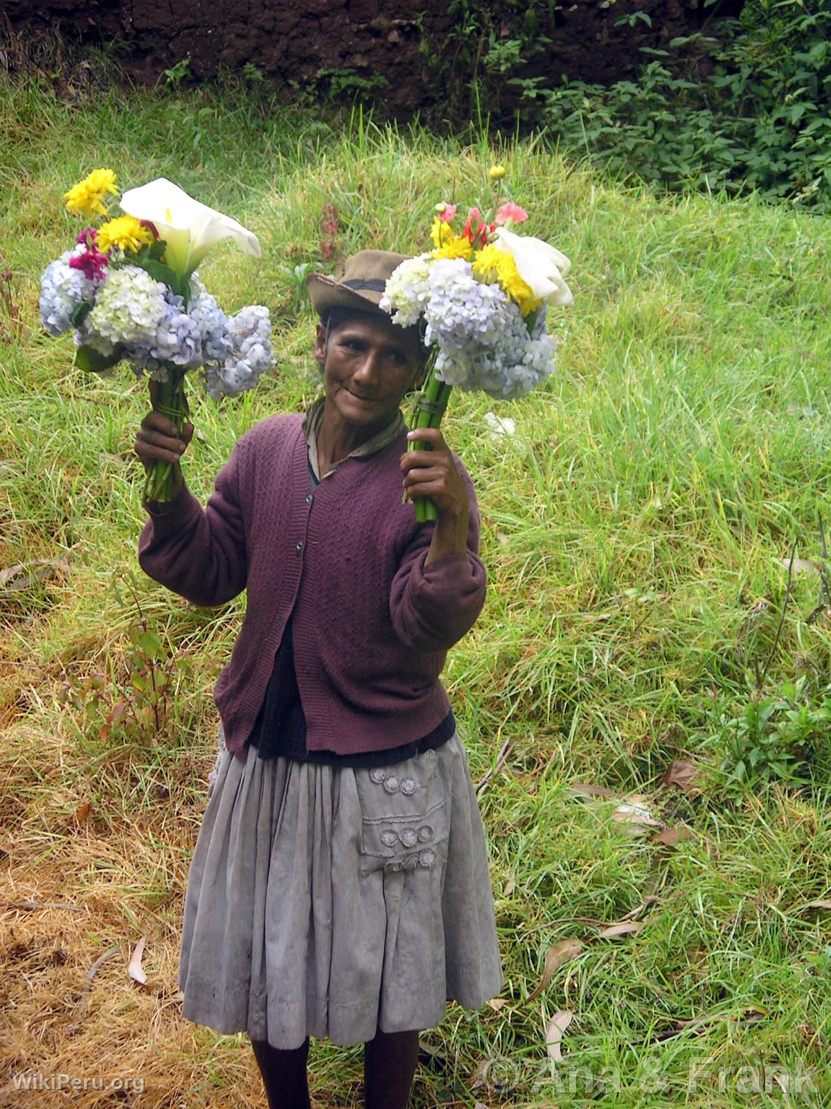 Vendeuse de fleurs sur le trajet du Machu Picchu