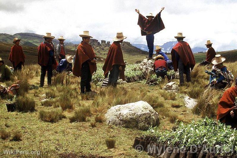 Paysans cajamarquins, Cajamarca