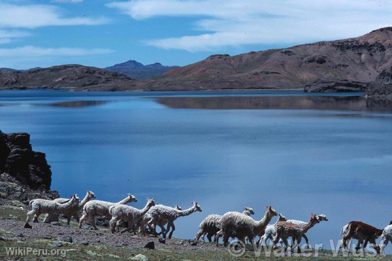 Lagune de Choclococha