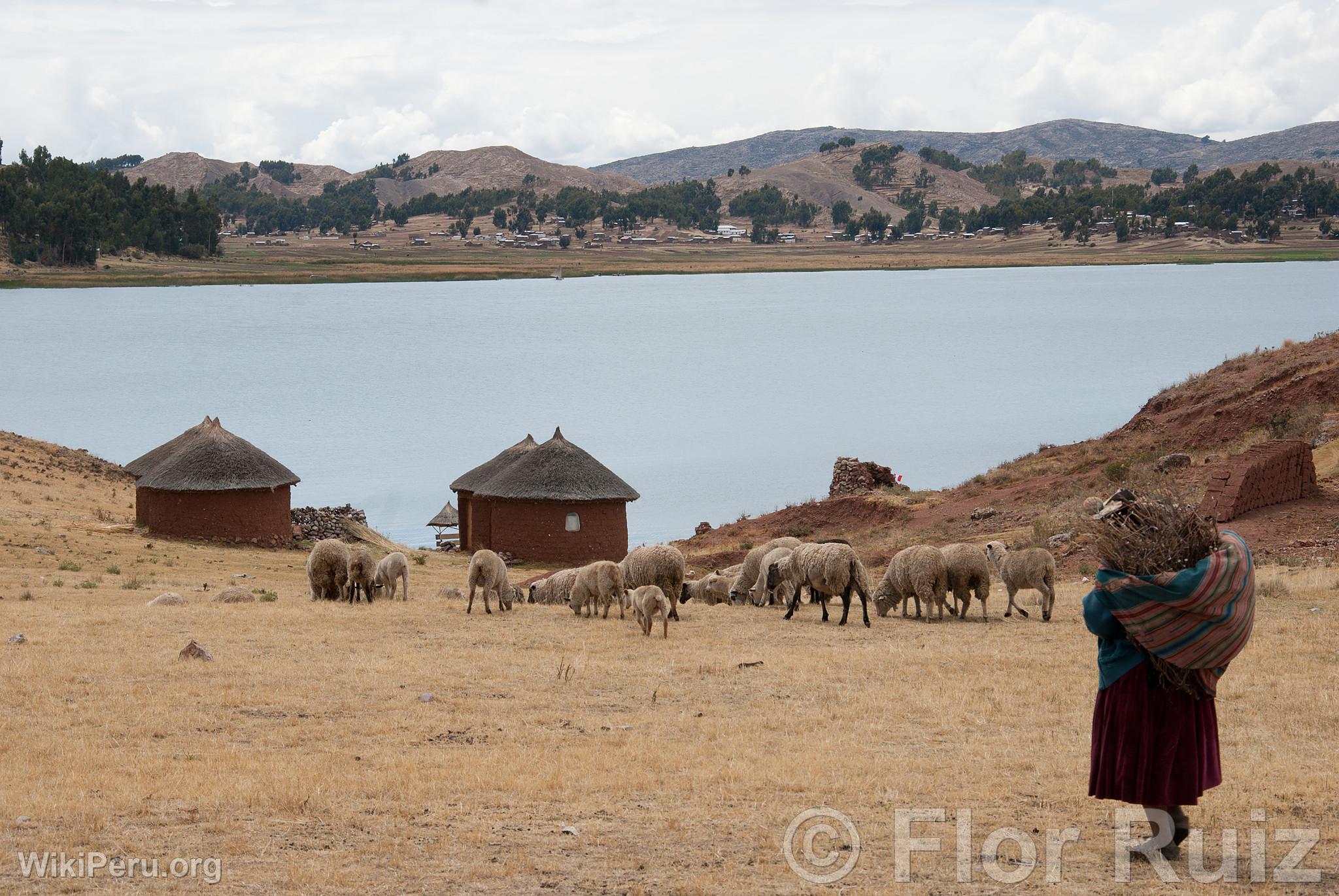 le Tikonata sur le lac Titicaca