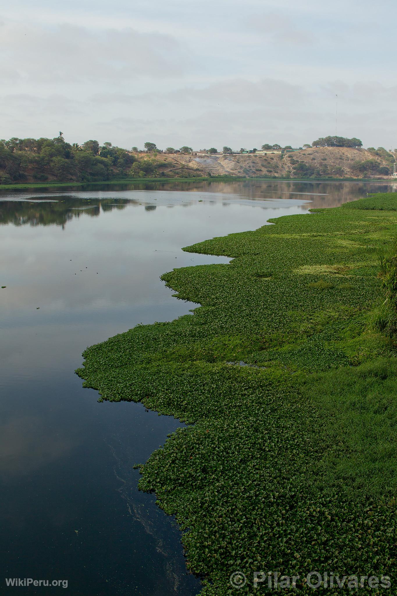 Estuaire de Virril