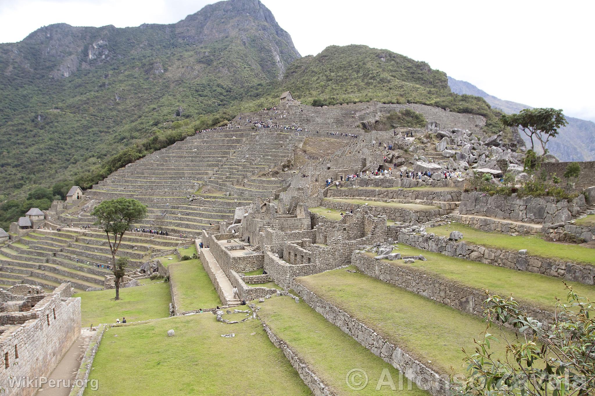 Citadelle de Machu Picchu