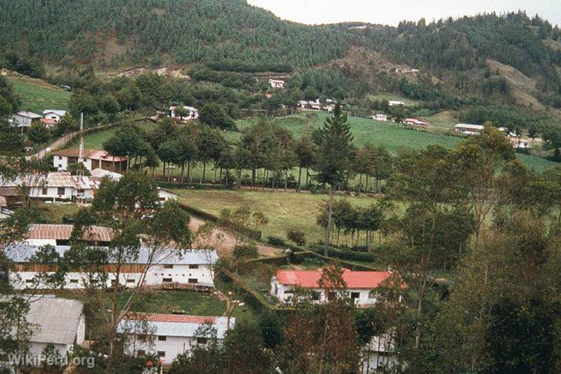 Ferme Porcn, Cajamarca