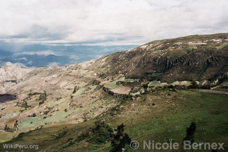 Andes humides, Cutervo