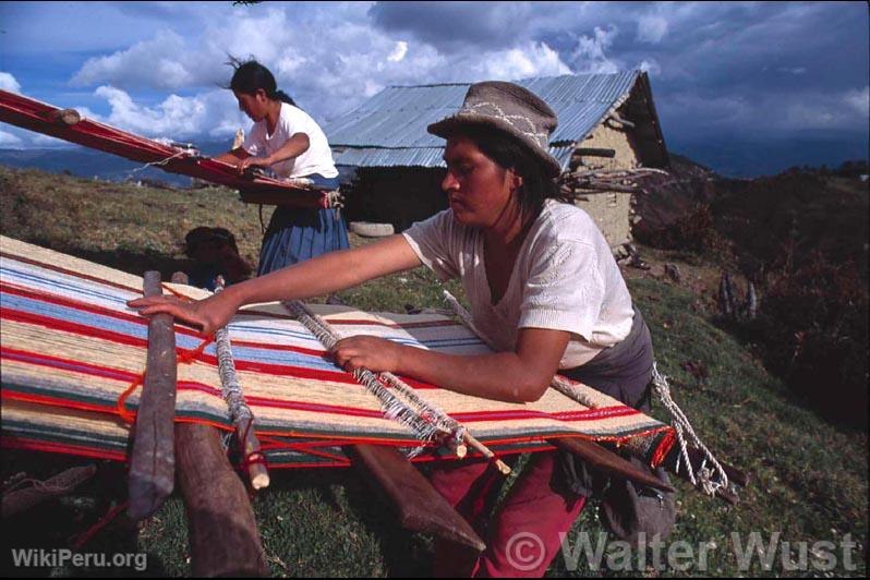 Tisseuses d'Amazonas