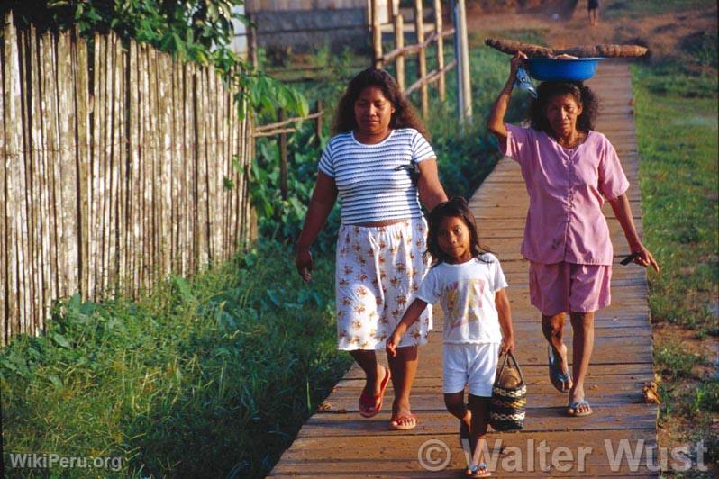 Famille de Condorcanqui