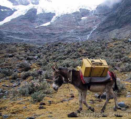 Cordillre Blanche