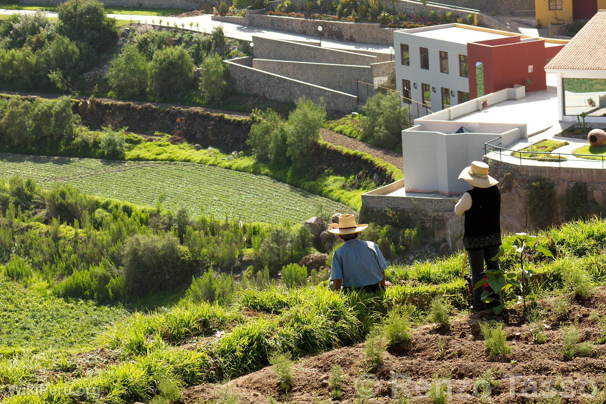 Campagne d'Arequipa