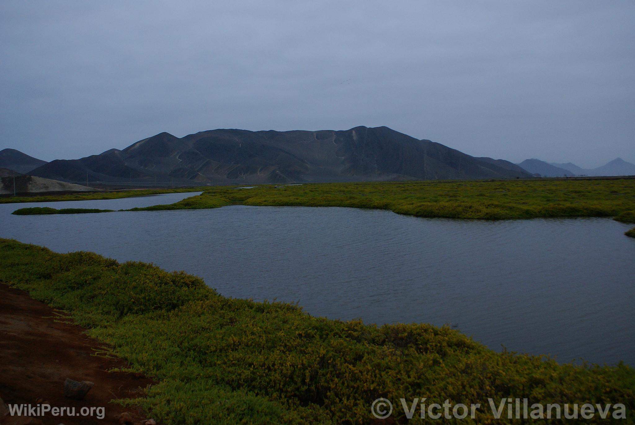 Lagune de San Diego