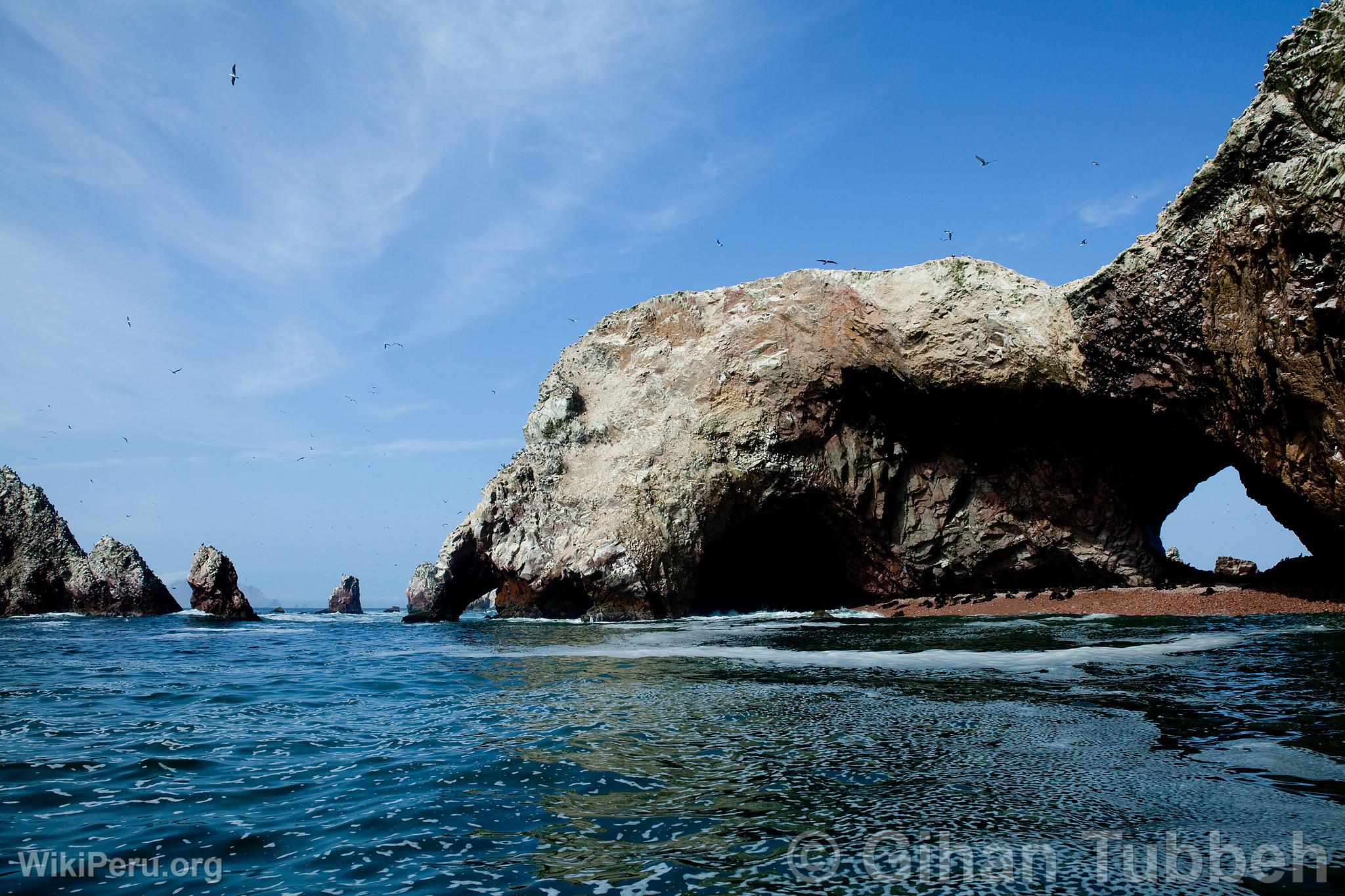 Iles Ballestas, Paracas