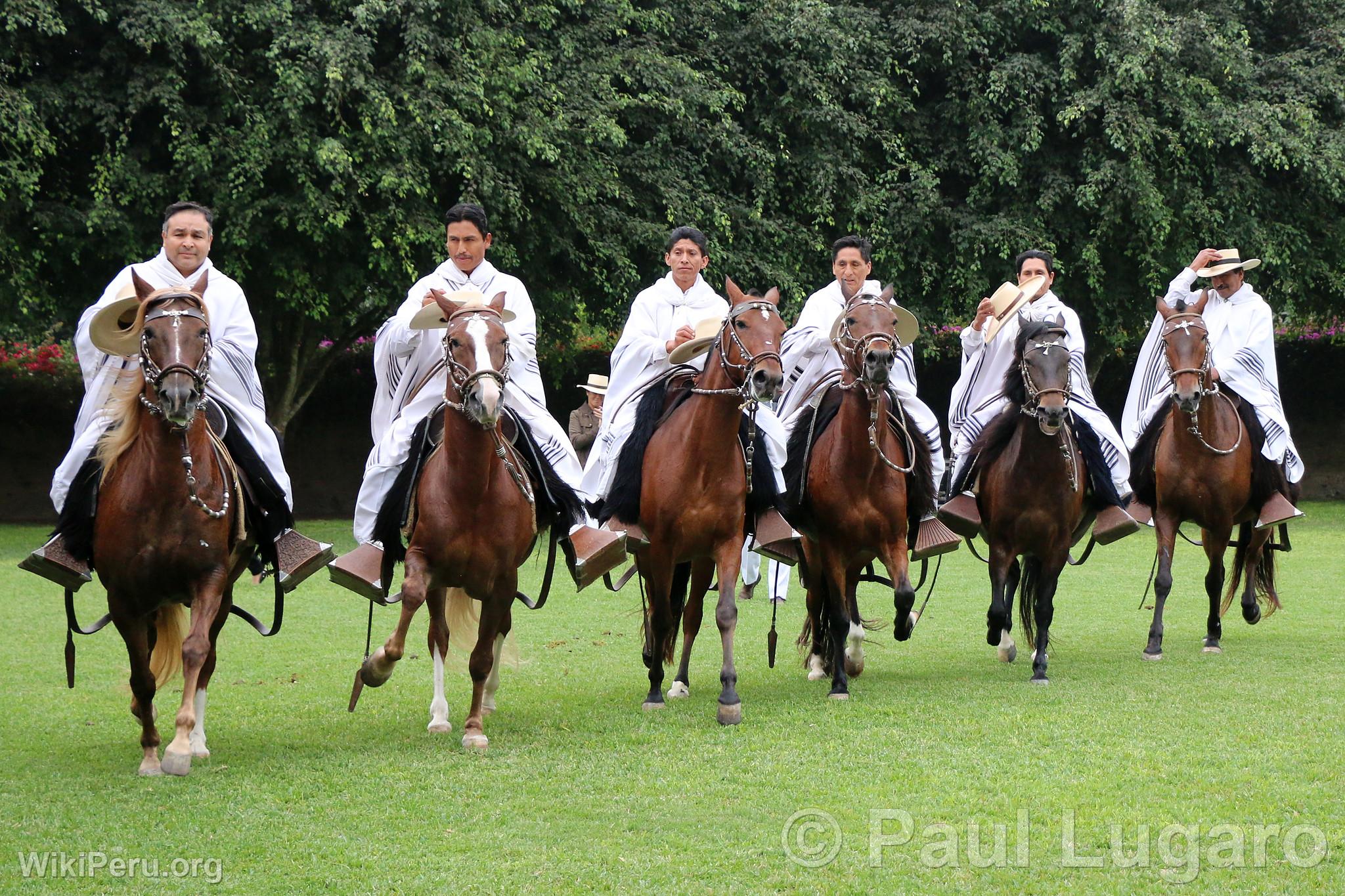 Chevaux de pas