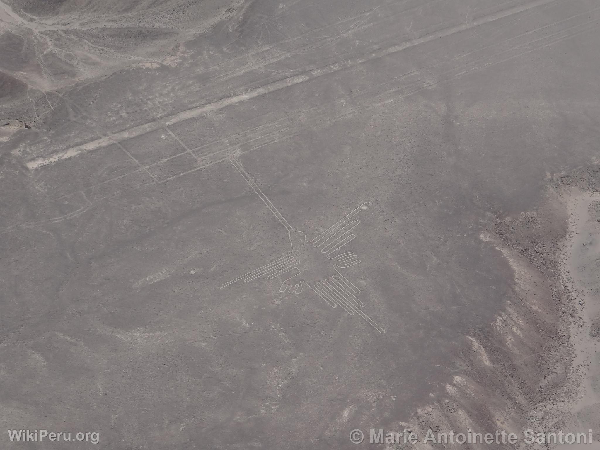 Lignes de Nazca