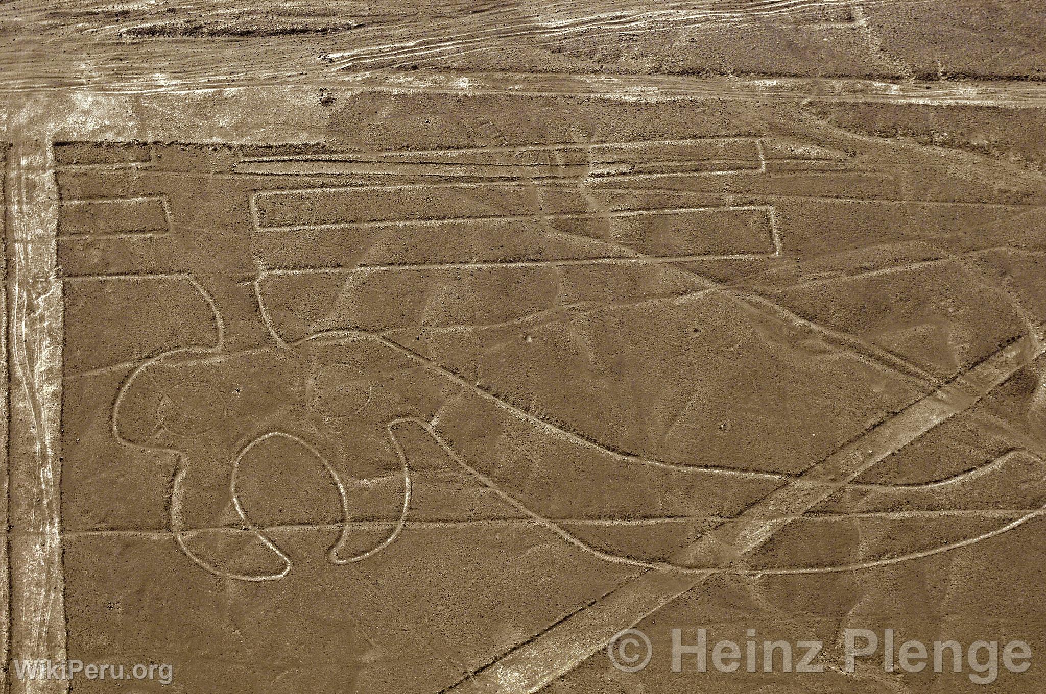 Lignes de Nazca