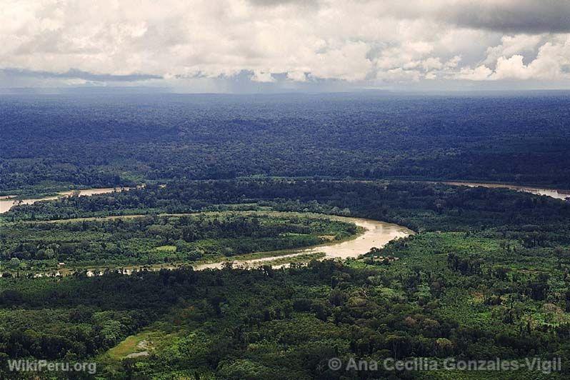 Llanura amazonienne