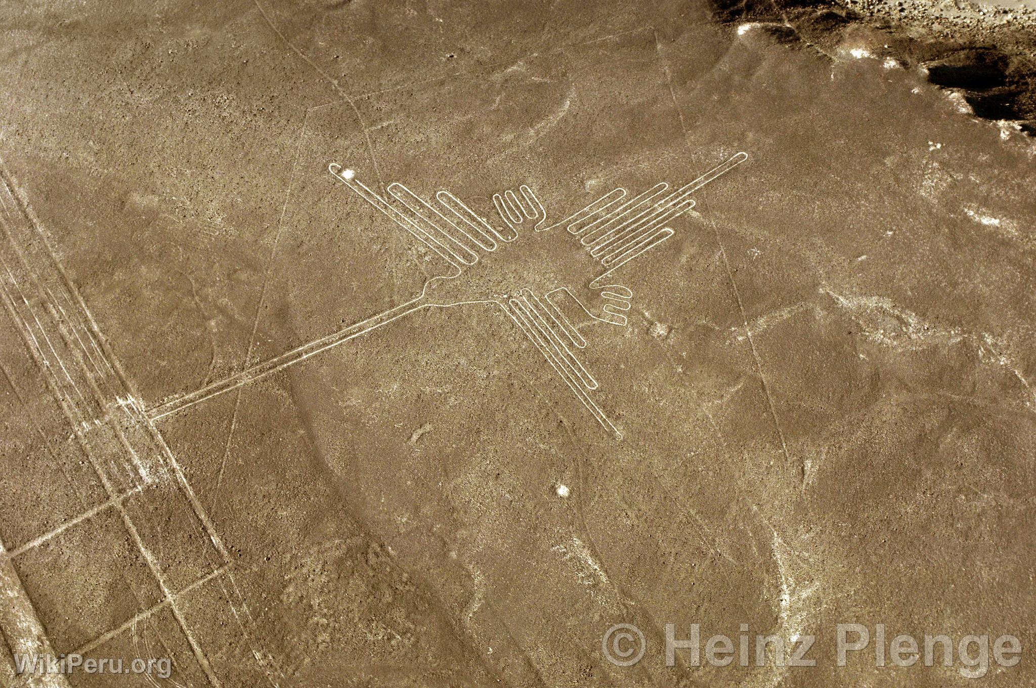 Lignes de Nazca