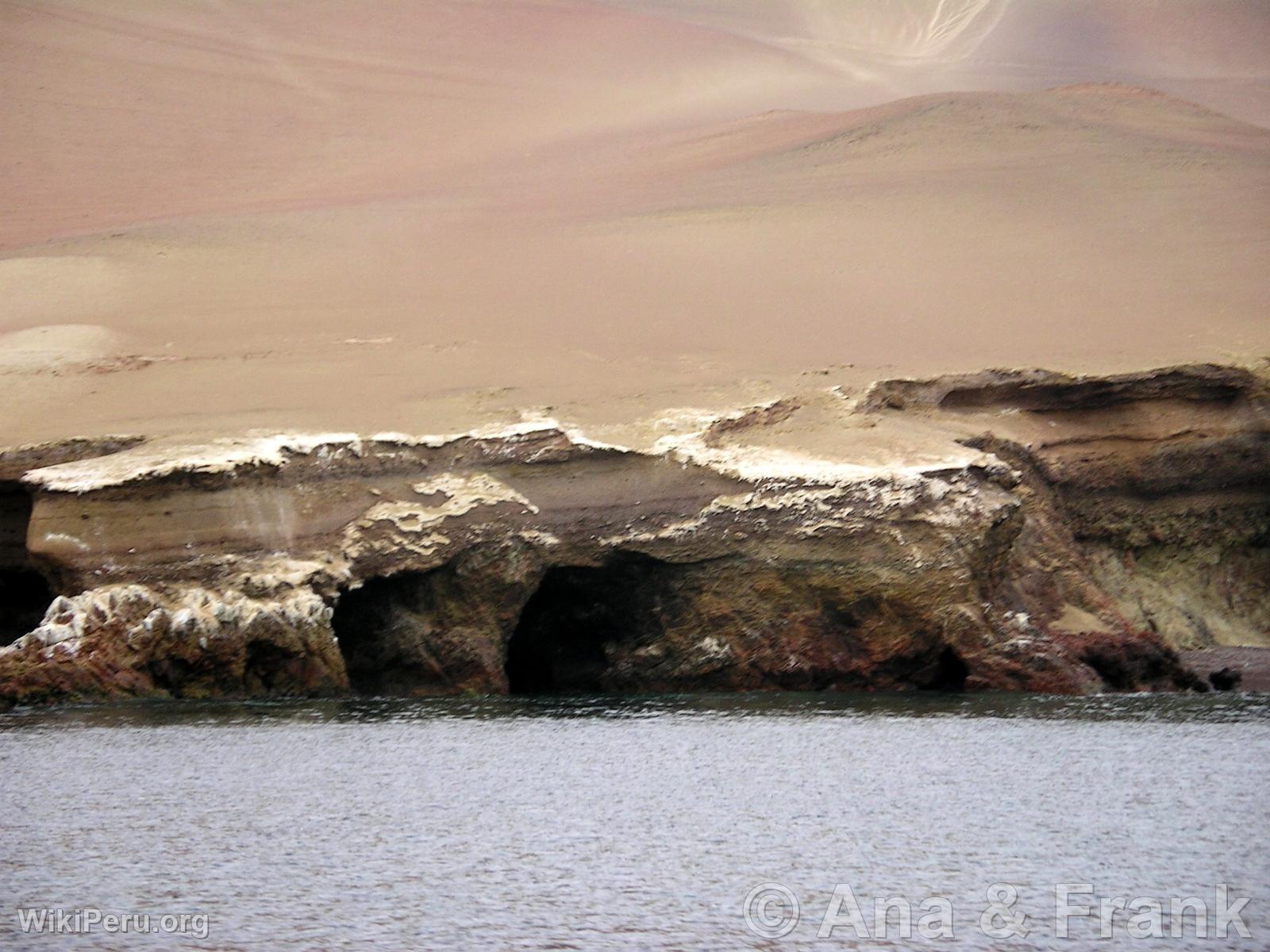 Paracas