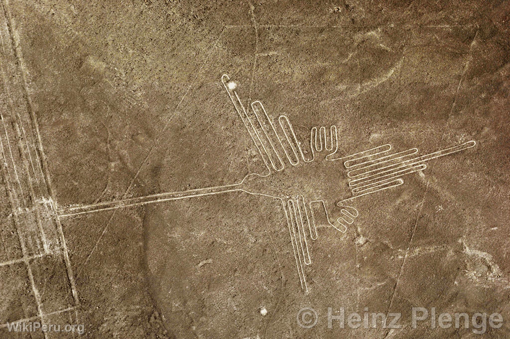 Lignes de Nazca