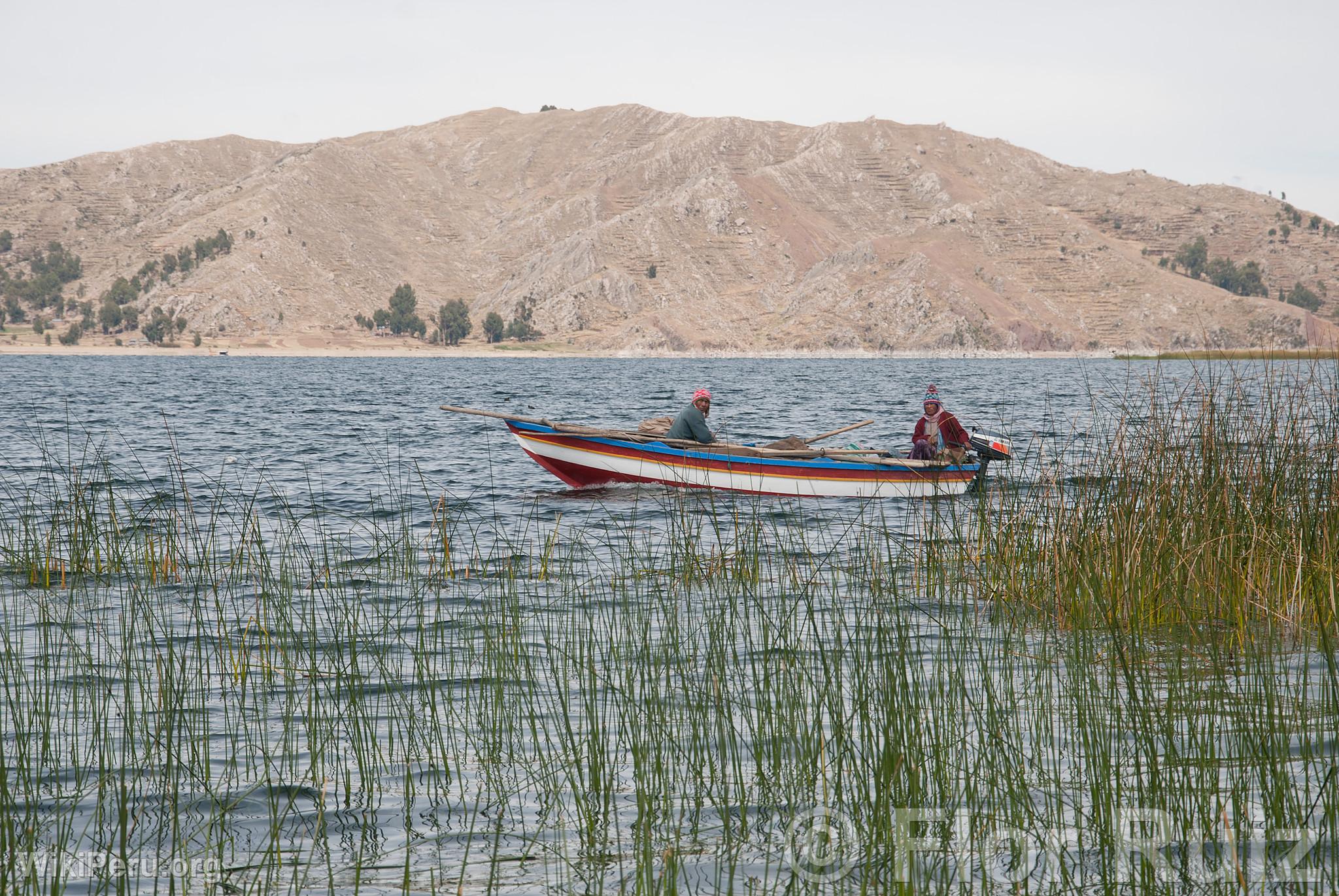 le Tikonata sur le lac Titicaca