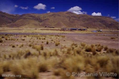 Train entre Puno et Cuzco