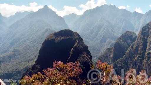 Machu Picchu