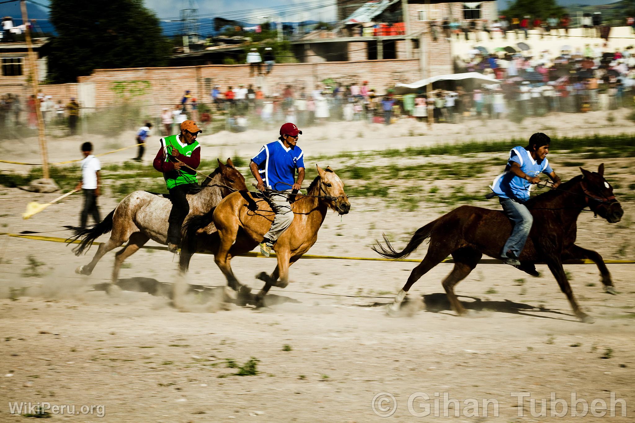 Course de chevaux