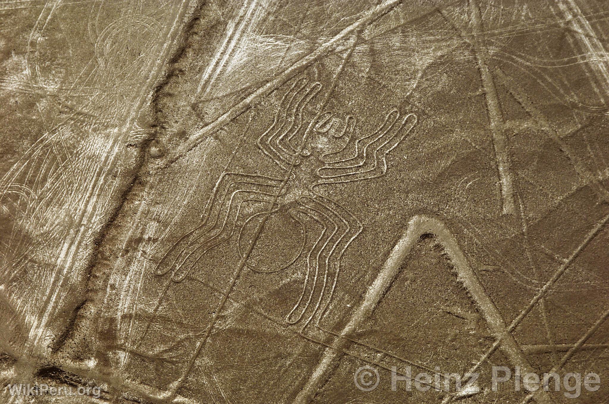 Lignes de Nazca