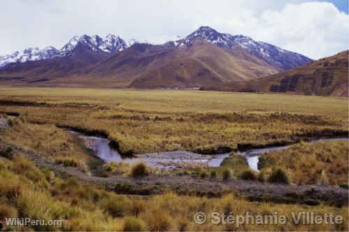 Train entre Puno et Cuzco