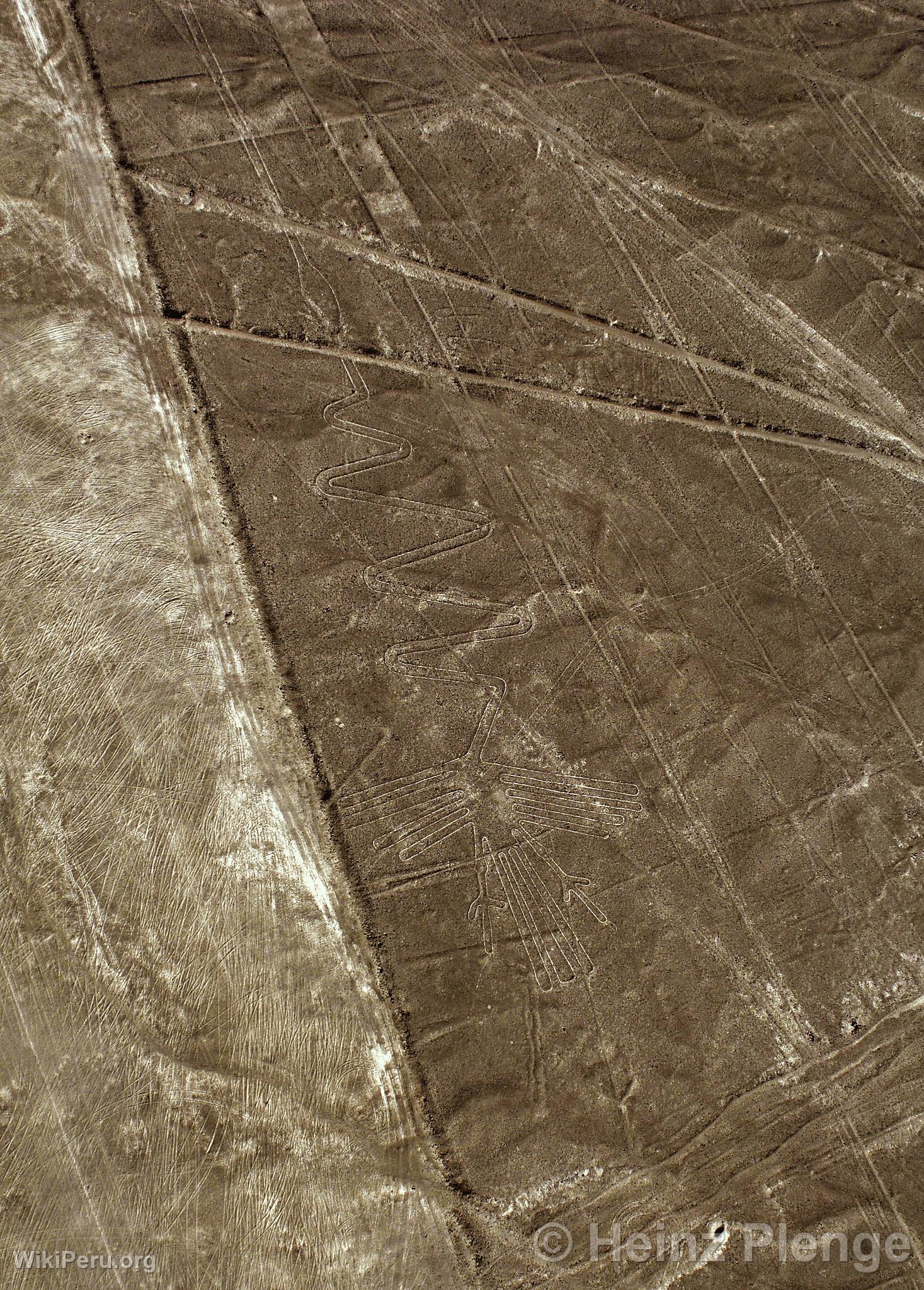 Lignes de Nazca