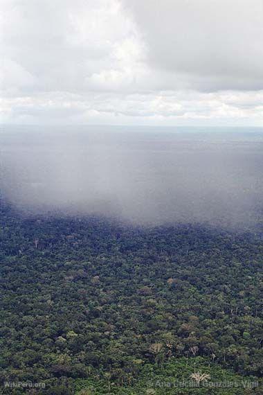 Fort amazonienne