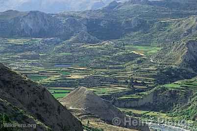 Canyon de Colca