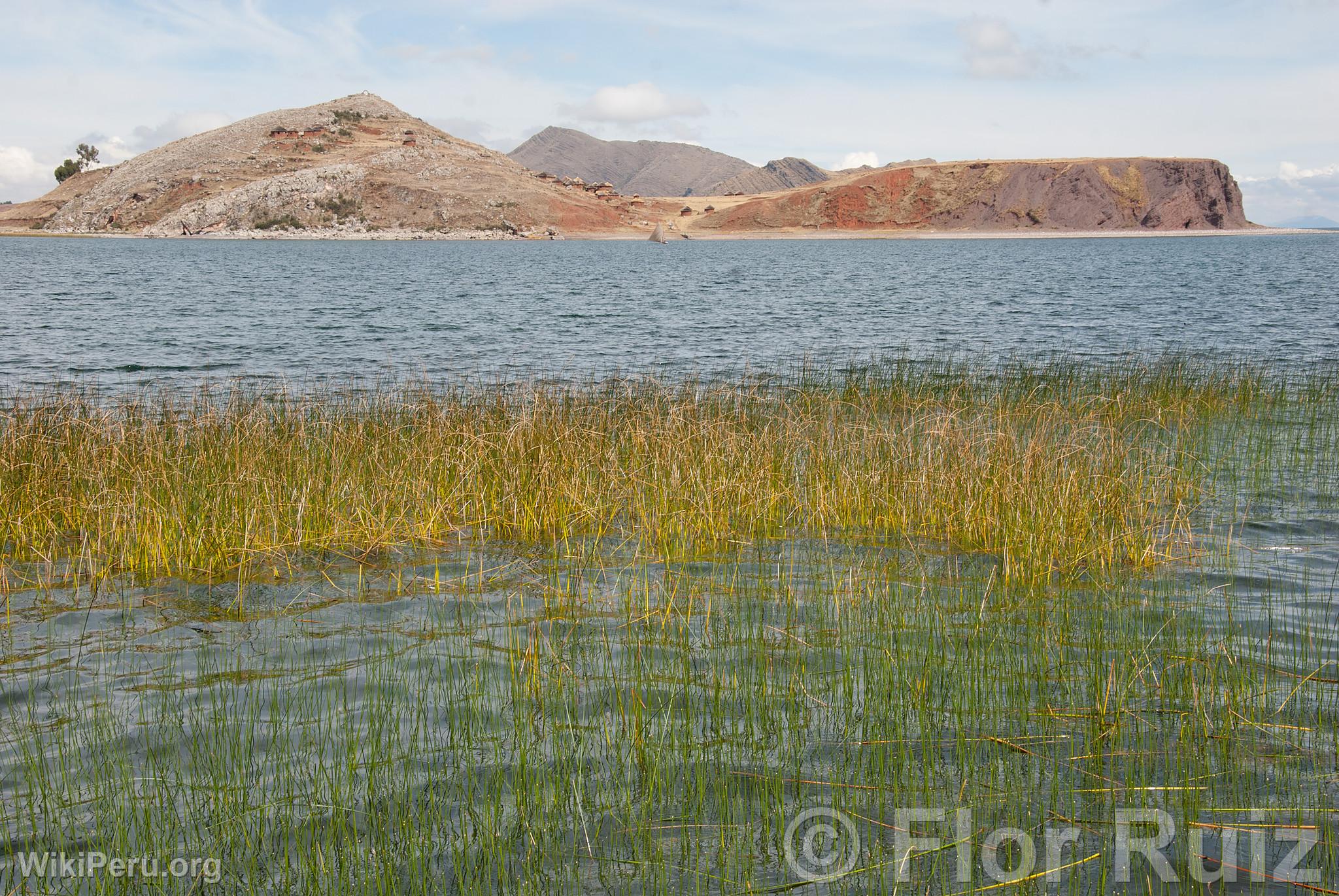 le Tikonata sur le lac Titicaca