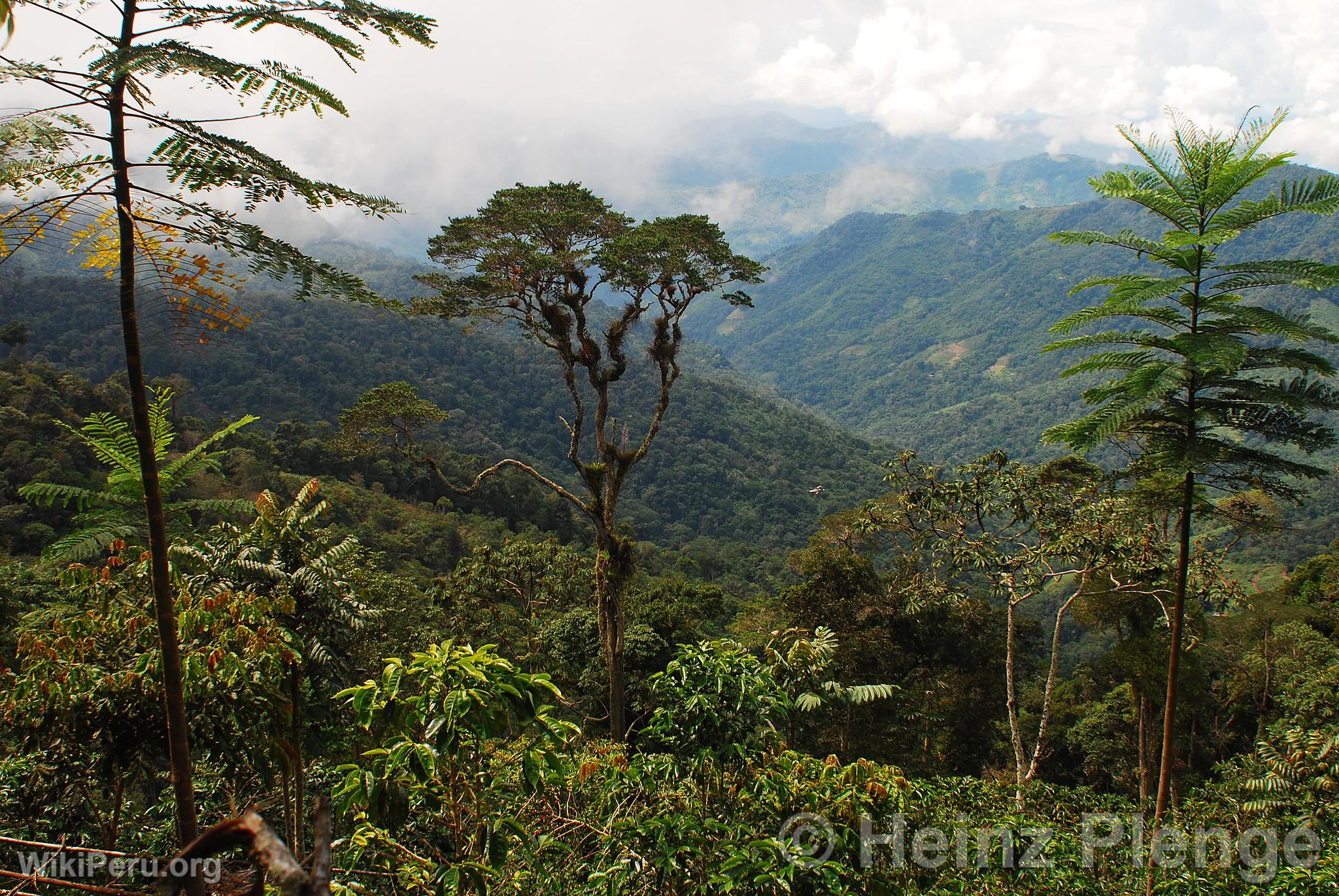 Paysage de Haute Fort